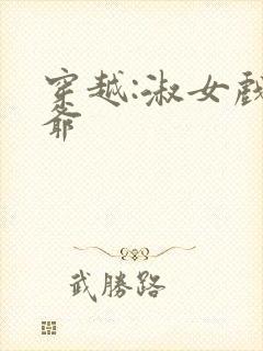 穿越:淑女戏王爷