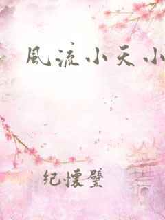 风流小天小说
