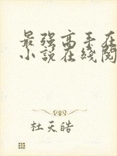 最强高手在都市小说在线阅读