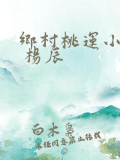 乡村桃运小神医 杨辰