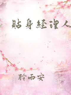 贴身经理人