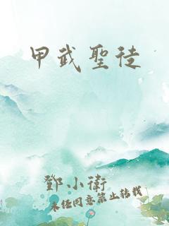 甲武圣徒