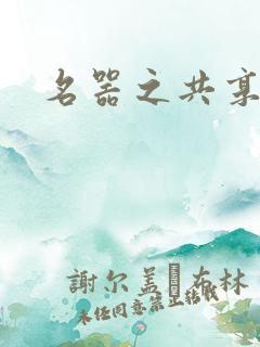 名器之共享NP
