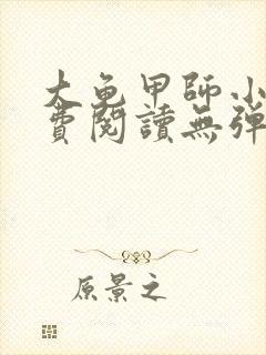 大龟甲师小说免费阅读无弹窗