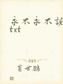 永不永不说再见txt