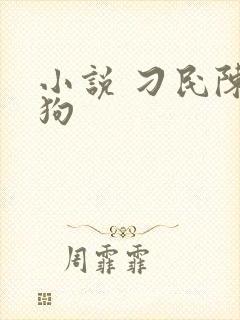 小说 刁民陈二狗
