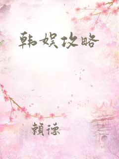 韩娱攻略