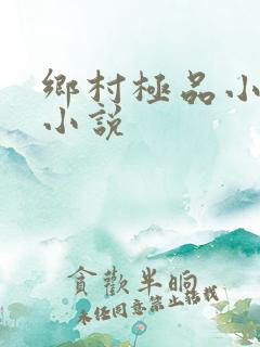 乡村极品小神医小说