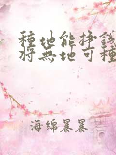 种地能挣钱农民将无地可种