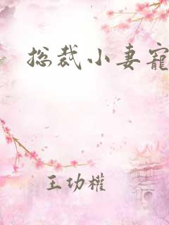 总裁小妻宠上天