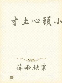 才上心头小说