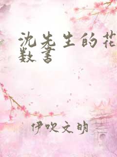 沈先生的花式调数书