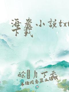 海岩小说txt下载