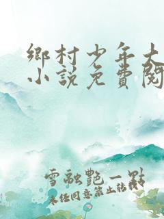 乡村少年大家伙小说免费阅读