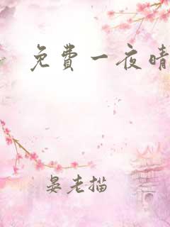 免费一夜晴交友