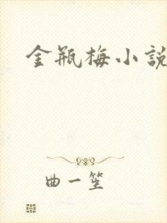金瓶梅小说