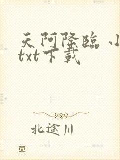 天阿降临 小说txt下载