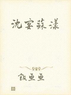 沈宴苏漾