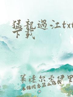 猛龙过江txt下载