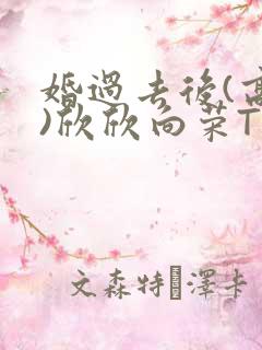 婚过去后(高干)欣欣向荣TXT下载