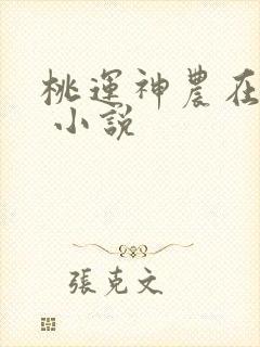 桃运神农在山村 小说
