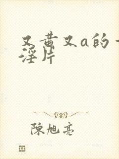又黄又a的一级淫片