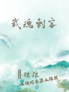 武魂刺客