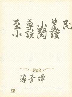 至尊小农民有声小说阅读