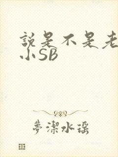 说是不是老公的小SB