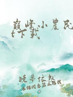 巅峰小农民txt下载