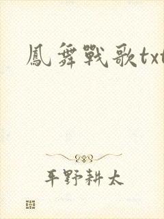凤舞战歌txt
