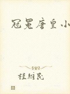 冠冕唐皇小说
