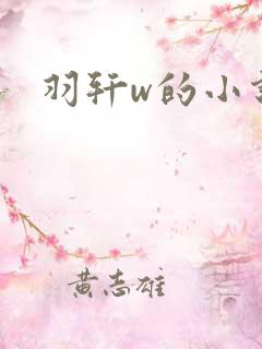 羽轩w的小说
