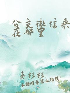 公交微信乘车码在哪里