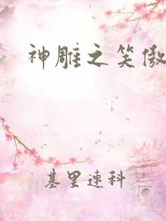 神雕之笑傲天下