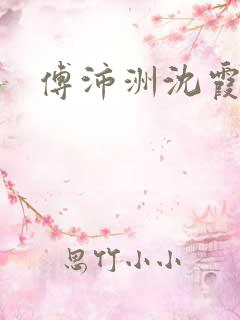 傅沛洲沈霞小说