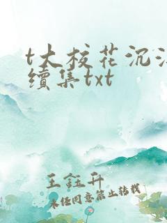t大校花沉浮录续集txt