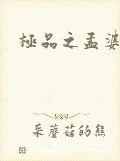 极品之孟婆汤