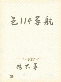 色114导航