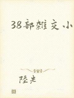 38部杂交小说