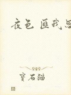 夜色 匪我思存