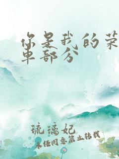 你是我的荣耀开车部分
