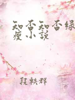 知否知否绿肥红瘦小说