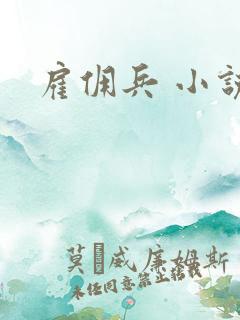 雇佣兵 小说