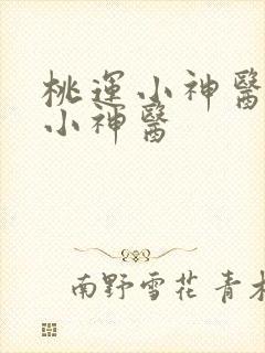 桃运小神医乡村小神医