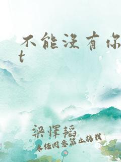 不能没有你txt