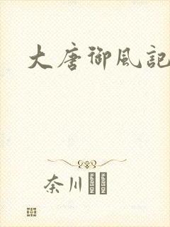 大唐御风记
