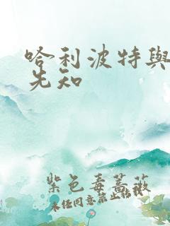 哈利波特与冒牌先知