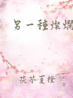 另一种灿烂生活