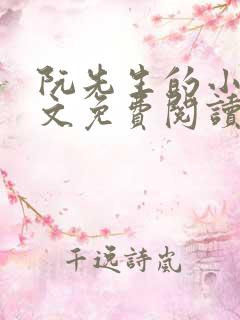 阮先生的小说全文免费阅读无弹窗